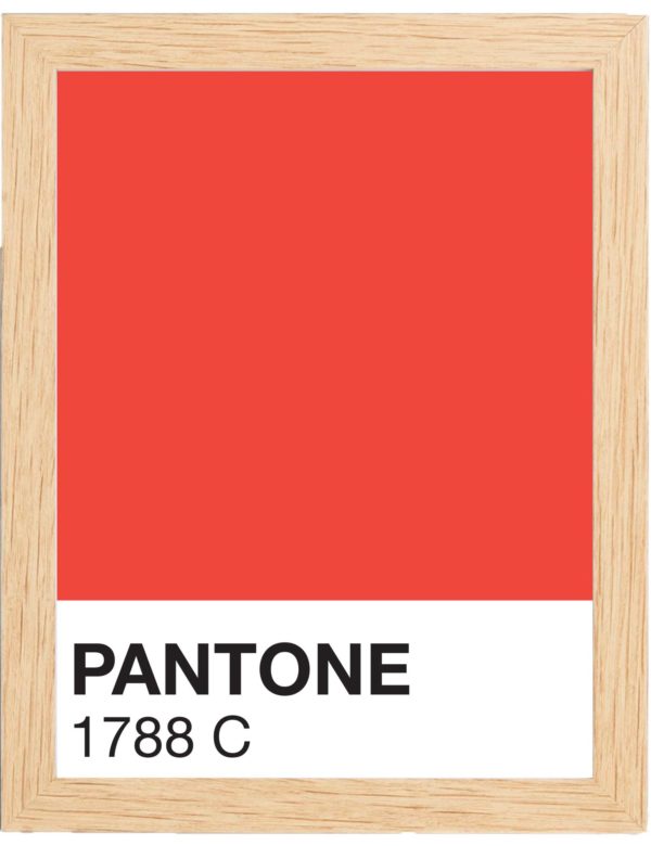 COLOR-1788C-MARCO-MADERA