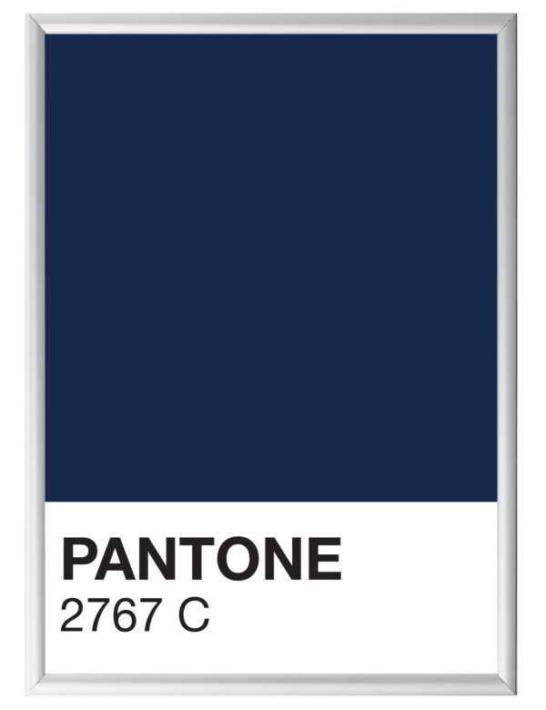 Lámina decorativa Color 2767C con marco plata