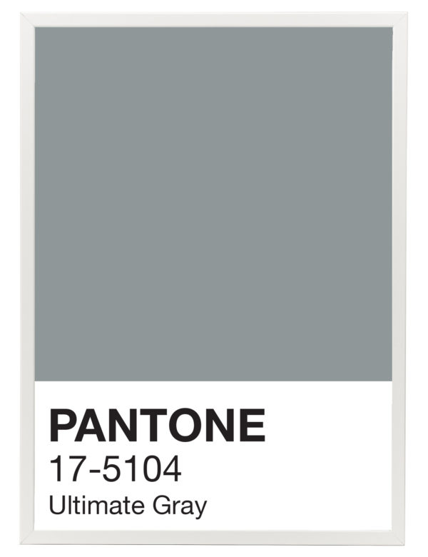 Pantone_Ultimate_Gray_marco_blanco