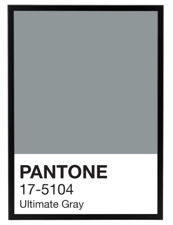 Pantone_Ultimate_Gray_marco_negro
