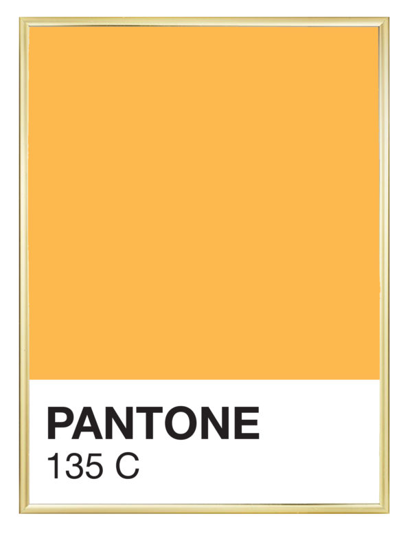 Lámina Color 135 C con marco dorado