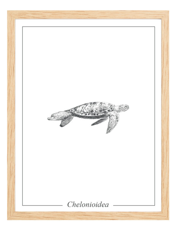 Lámina decortaiva Ilustración Tortuga con marco de madera
